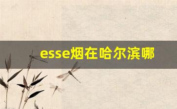 esse烟在哈尔滨哪买-esse烟一般实体店有卖的吗