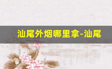 汕尾外烟哪里拿-汕尾城区哪里买的烟保真