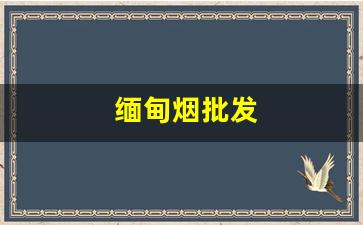缅甸烟批发