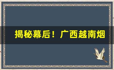 揭秘幕后！广西越南烟批发“智慧”