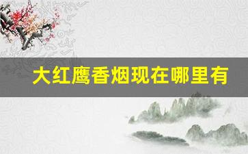 大红鹰香烟现在哪里有卖-大红鹰香烟现在是多少钱一条