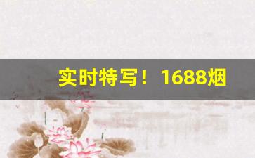 实时特写！1688烟草批发商城买烟渠道“方外司马”