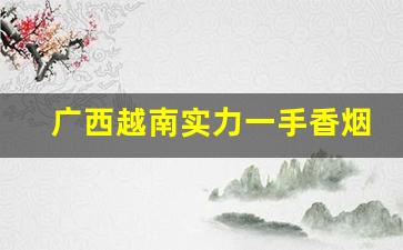 广西越南实力一手香烟厂家-越南代工厂香烟图片及价格