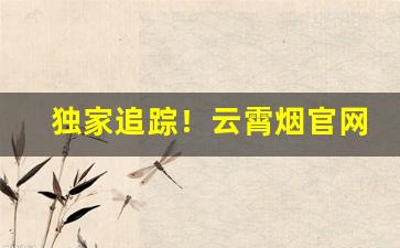 独家追踪！云霄烟官网价“愁肠九回”