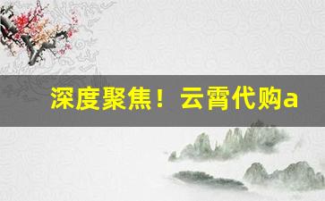 深度聚焦！云霄代购app下载“安贫若素”