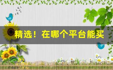 精选！在哪个平台能买正品“措手不迭”