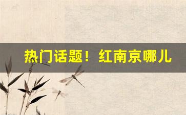 热门话题！红南京哪儿能买到“词正理直”