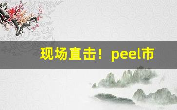 现场直击！peel市场价“持危扶颠”