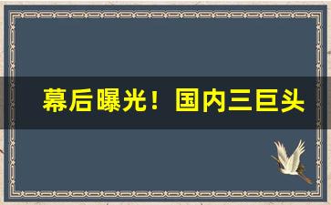 幕后曝光！国内三巨头烟草电网“榜上无名”