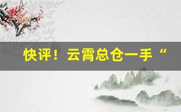 快评！云霄总仓一手“方来未艾”