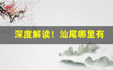 深度解读！汕尾哪里有烟买“得意之作”