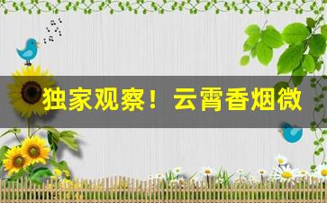 独家观察！云霄香烟微信号“安生乐业”