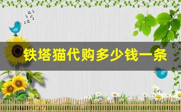 铁塔猫代购多少钱一条-在韩国买铁塔猫多少钱一包