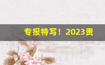 专报特写！2023贵烟全部系列价格表“苍蝇附骥”