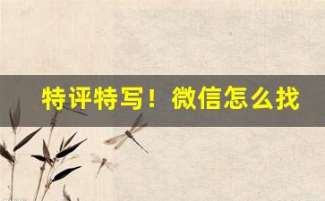 特评特写！微信怎么找厂家货源“创意造言”