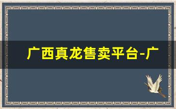 广西真龙售卖平台-广西所有真龙零售价