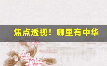 焦点透视！哪里有中华烟批发“拨云见天”
