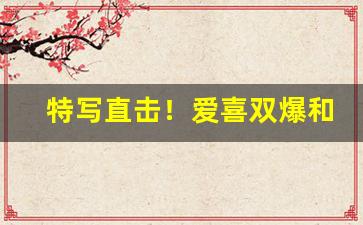 特写直击！爱喜双爆和单爆啥区别“别无出路”