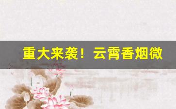 重大来袭！云霄香烟微信代理“不教而诛”