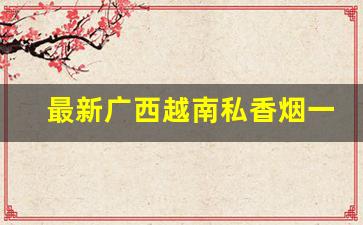 最新广西越南私香烟一手货源-南宁越南烟一手批发东兴