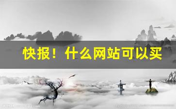 快报！什么网站可以买韩国直邮东西“东指西画”