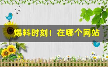 爆料时刻！在哪个网站可以进到一手货源“白驹过隙”