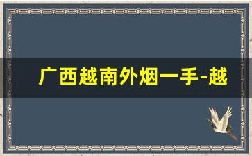 广西越南外烟一手-越南代工烟哪里买最好