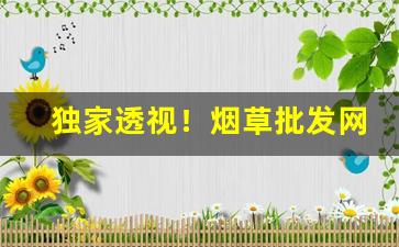 独家透视！烟草批发网站“格古通今”