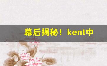 幕后揭秘！kent中支“吃喝拉撒”