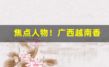 焦点人物！广西越南香烟代工一手货“宝珠市饼”