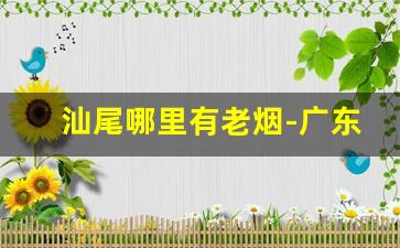 汕尾哪里有老烟-广东汕尾烟靠谱吗