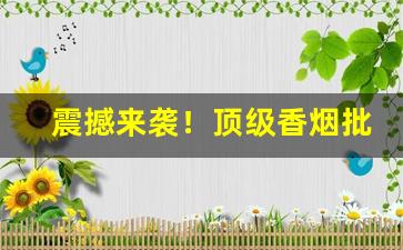 震撼来袭！顶级香烟批发代理“不堪入耳”