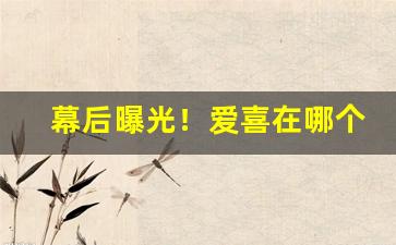 幕后曝光！爱喜在哪个购物平台买“尺二冤家”