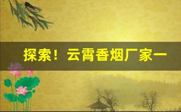 探索！云霄香烟厂家一手渠道“掉书囊”