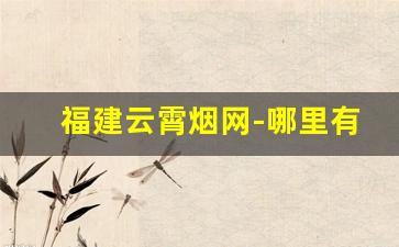 福建云霄烟网-哪里有福建云霄香烟