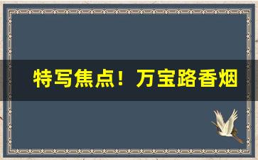 特写焦点！万宝路香烟批发网站“北山移”