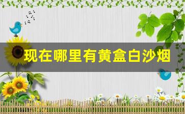 现在哪里有黄盒白沙烟卖-白沙烟非卖品10支价格