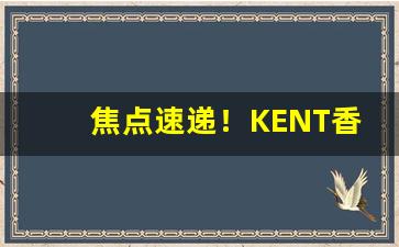 焦点速递！KENT香烟好抽吗“弊衣箪食”