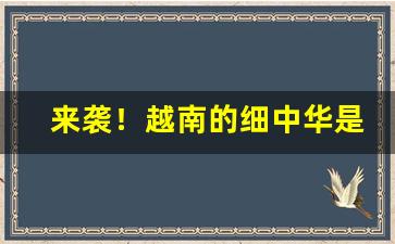 来袭！越南的细中华是真烟吗“爱民如子”