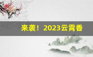 来袭！2023云霄香烟官网APP软件“不遗寸长”
