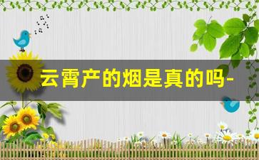 云霄产的烟是真的吗-云霄烟是真的还是假的
