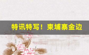 特讯特写！柬埔寨金边代工厂“倒凤颠鸾”