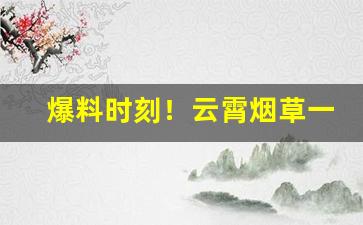 爆料时刻！云霄烟草一手货源“耕稼陶渔”