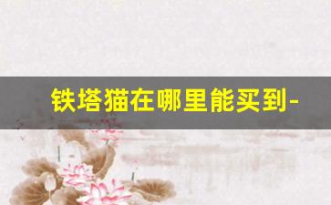 铁塔猫在哪里能买到-网上哪里可以买到铁塔猫