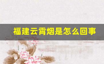 福建云霄烟是怎么回事-为啥会说云霄烟是假烟