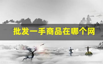 批发一手商品在哪个网站-大量批发商品在哪个平台