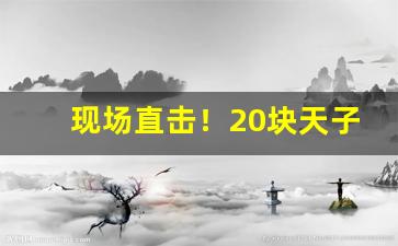 现场直击！20块天子烟一条批发价格“感恩戴义”