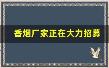 香烟厂家正在大力招募批发代理-烟批发供应商定制