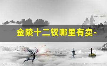 金陵十二钗哪里有卖-金陵十二钗金钗在哪里可以买