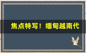 焦点特写！缅甸越南代工细支香烟批发“东西南北”